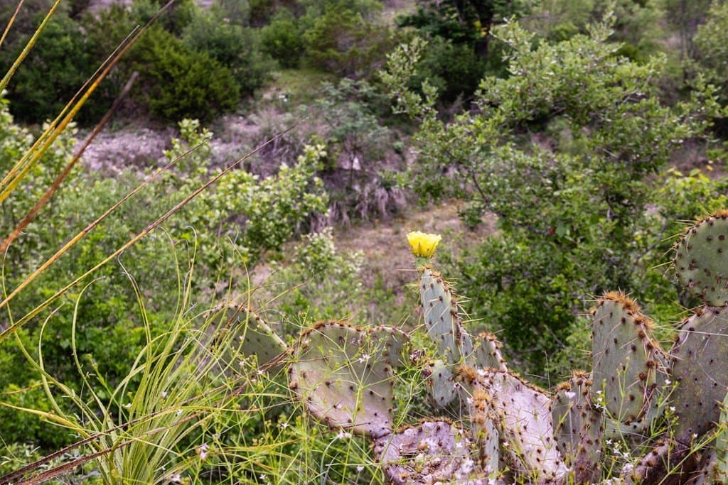 50 acres in Bandera County - photo 32