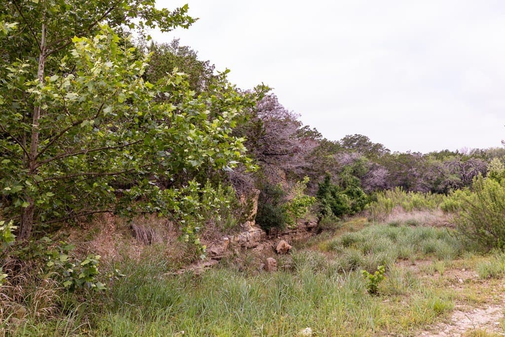50 acres in Bandera County - photo 52