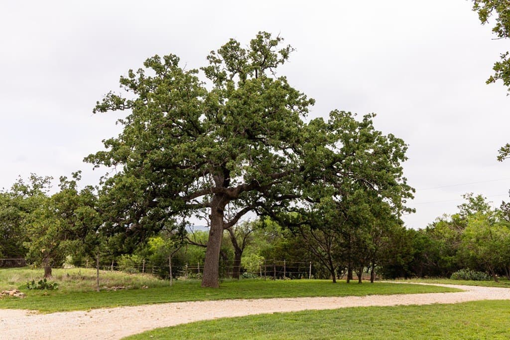 50 acres in Bandera County - photo 43