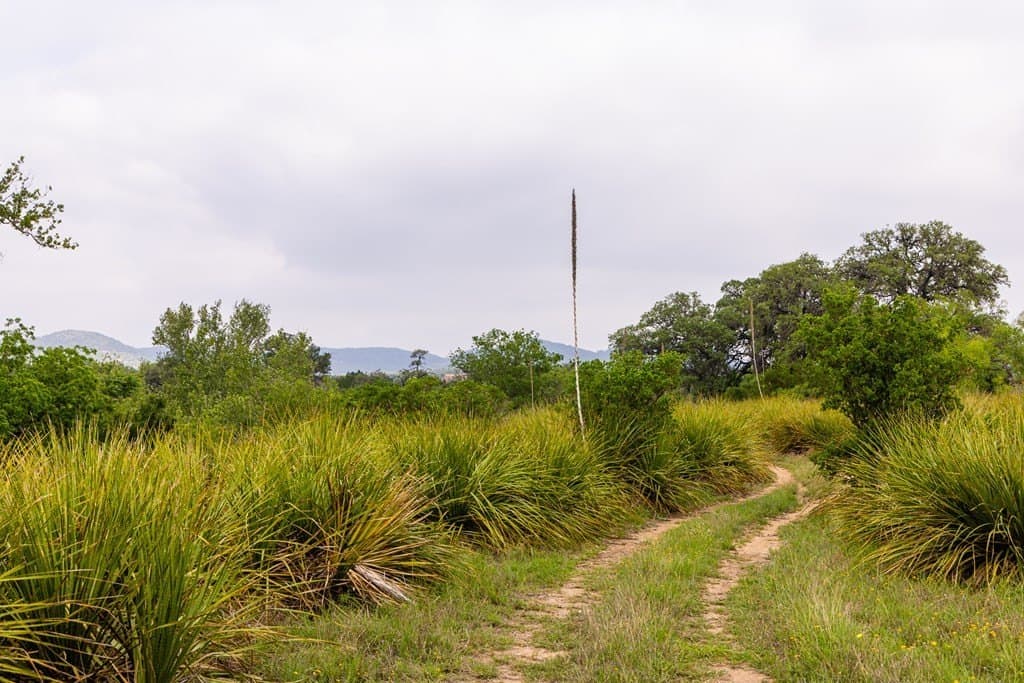 50 acres in Bandera County - photo 57