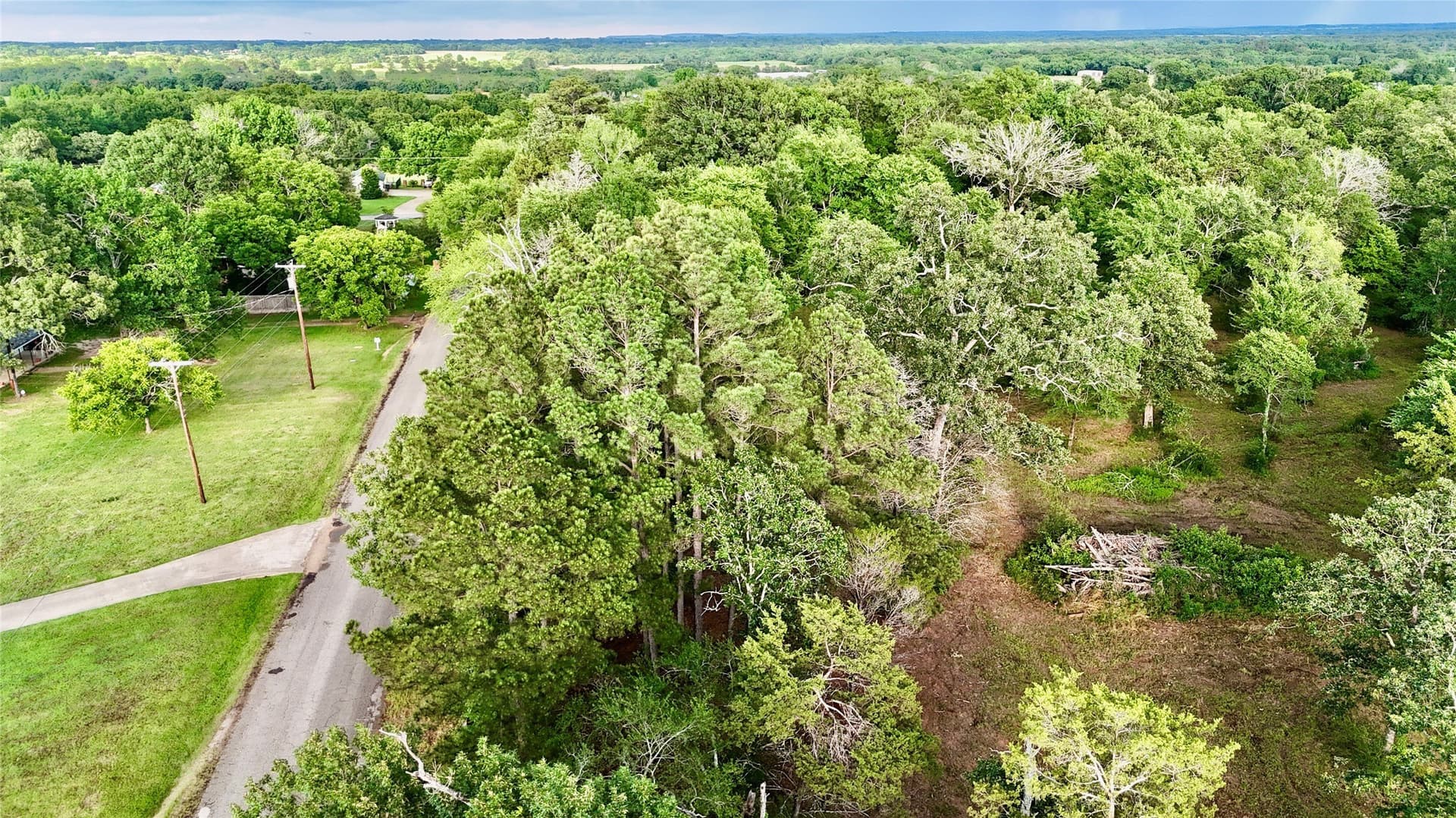 10.02 acres in Henderson County - photo 4