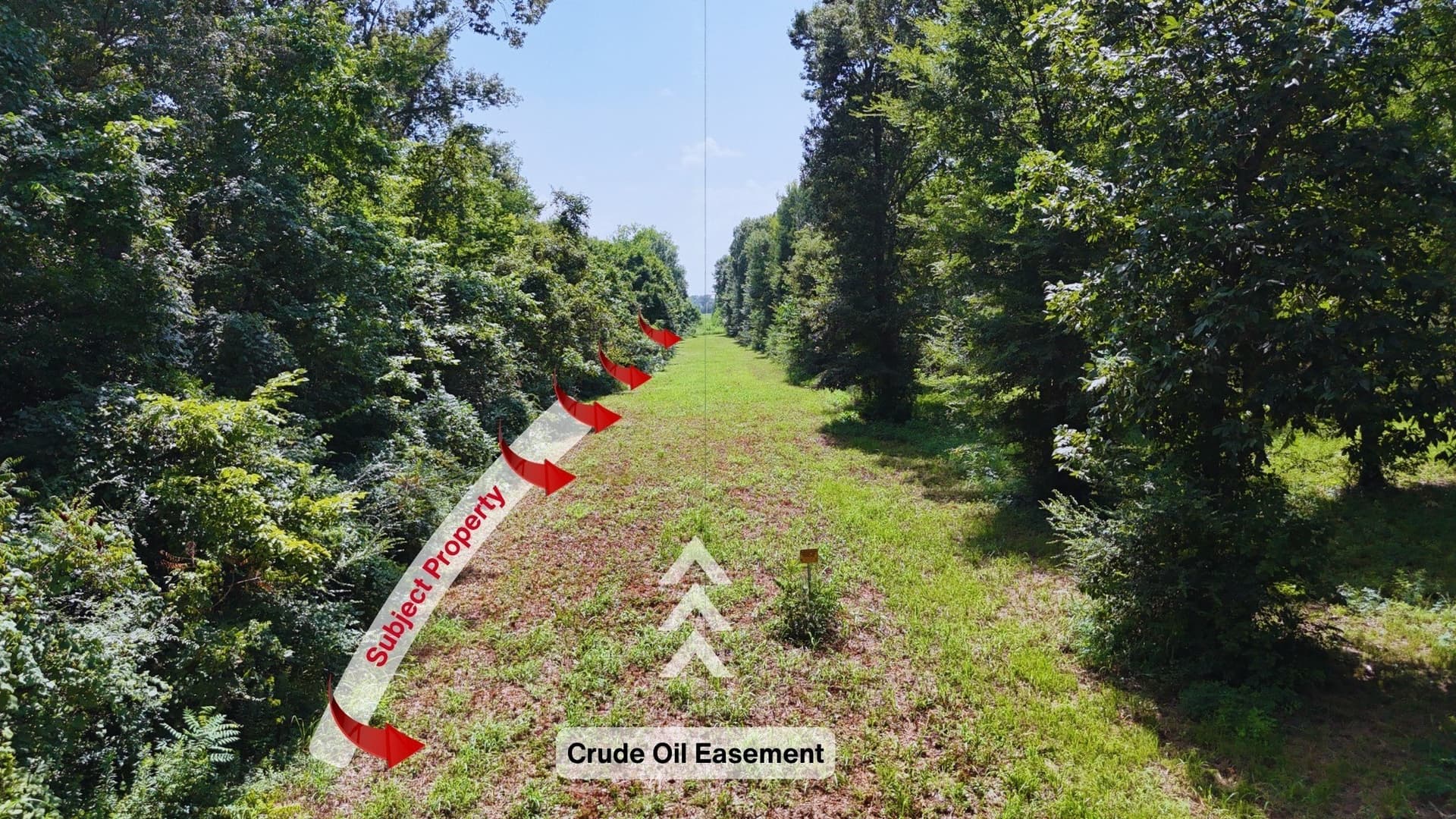 10.02 acres in Henderson County - photo 6
