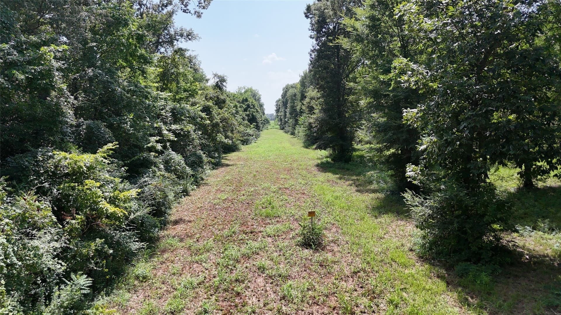 10.02 acres in Henderson County - photo 7