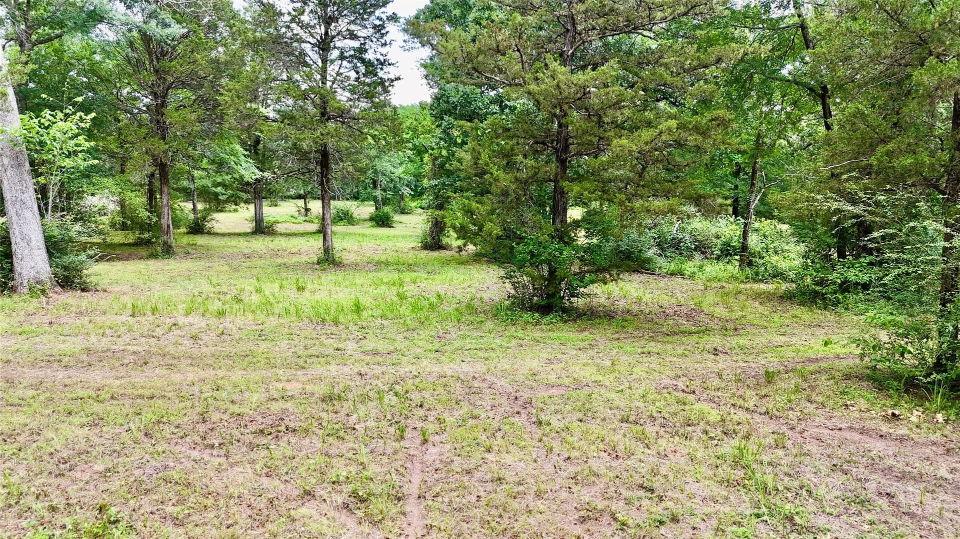 10.02 acres in Henderson County - photo 10