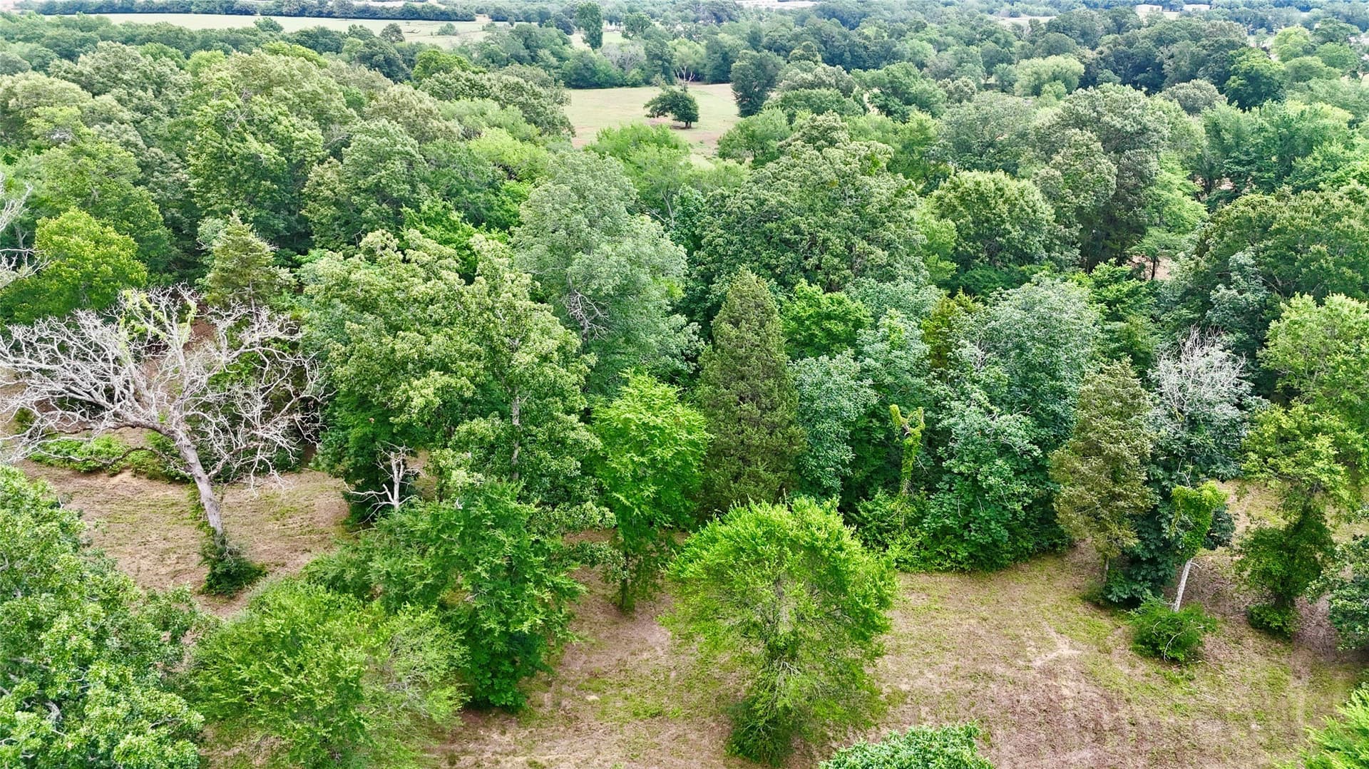 10.02 acres in Henderson County - photo 13