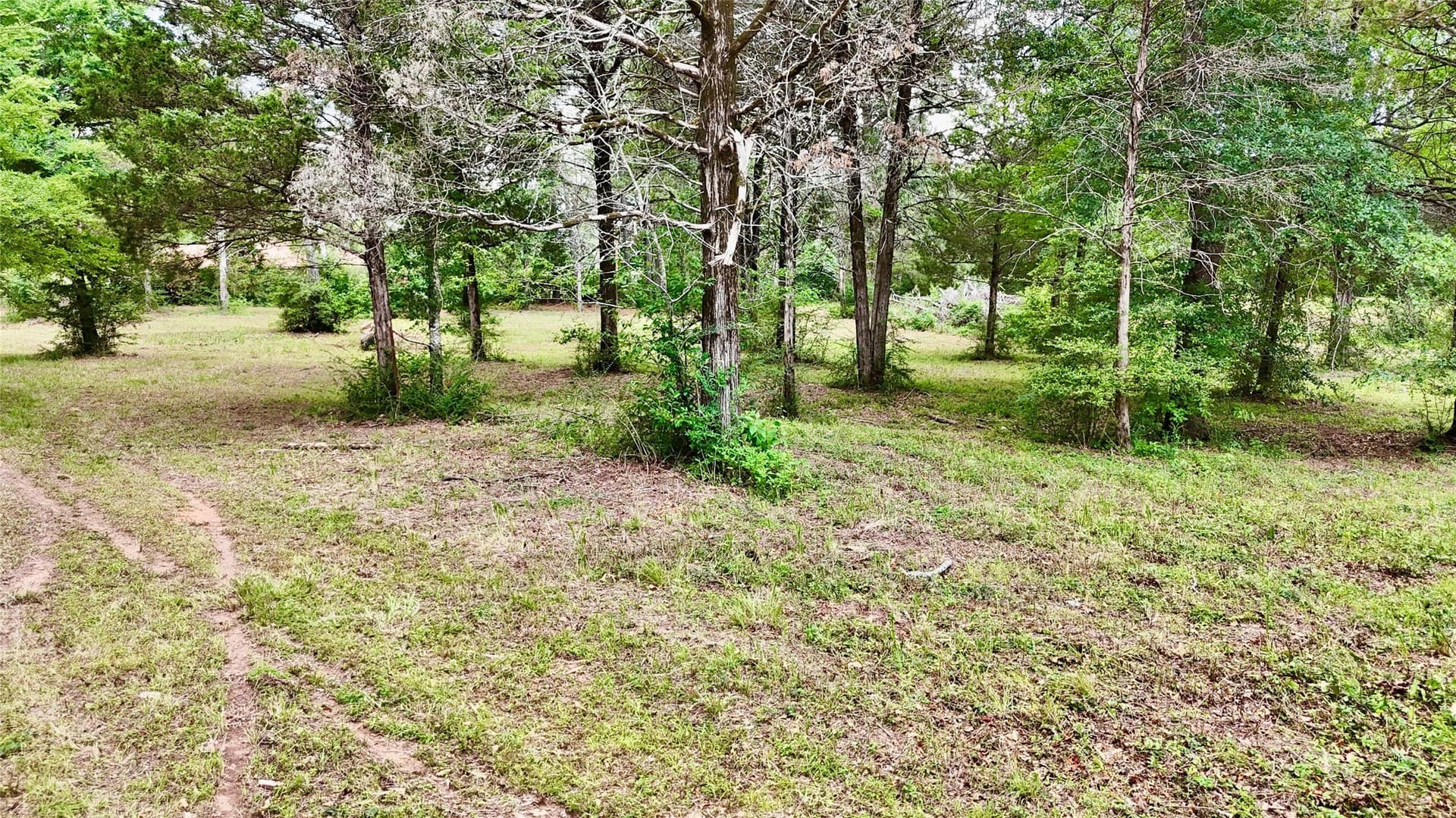 10.02 acres in Henderson County - photo 9