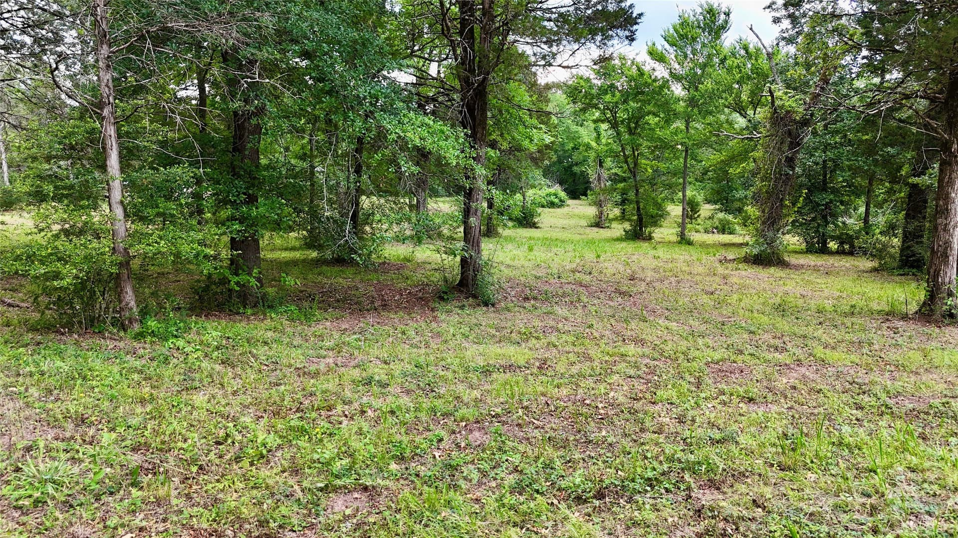 10.02 acres in Henderson County - photo 12