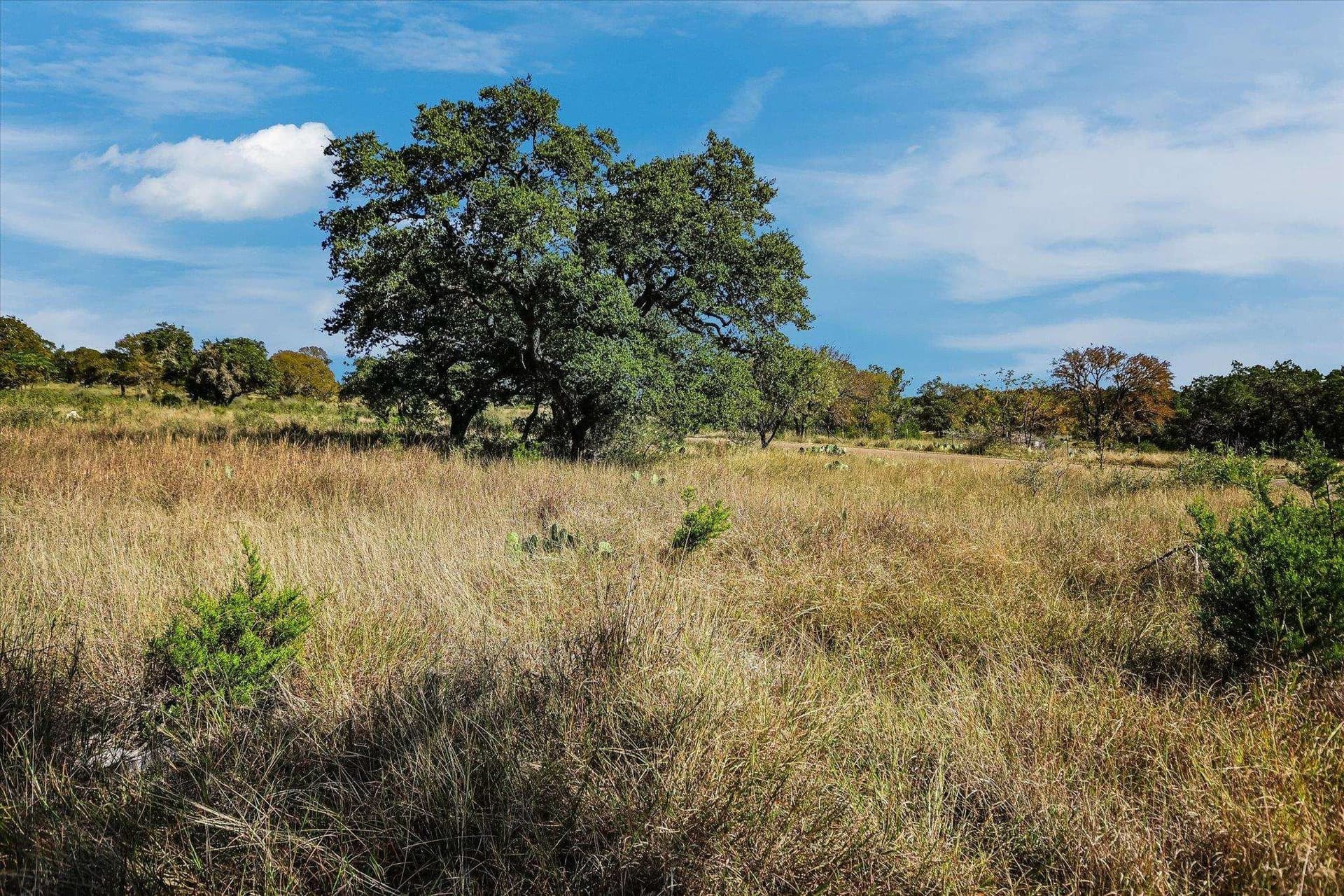 20.07 acres in Burnet County featured view