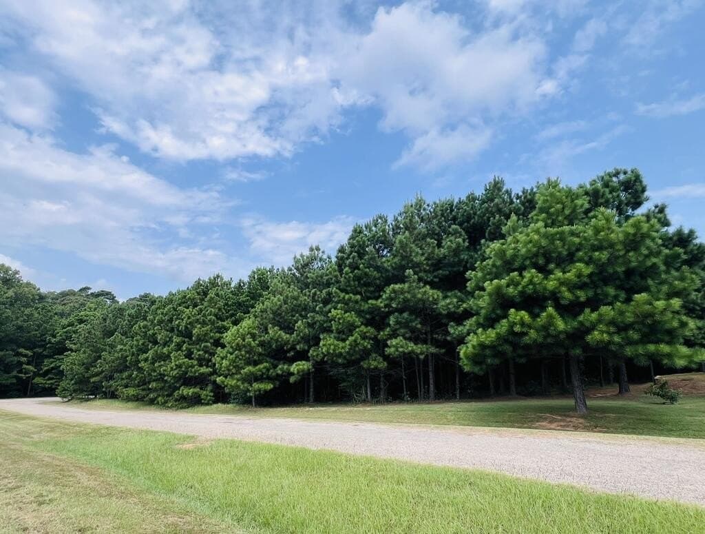 0.62 acres in Texas County - photo 4