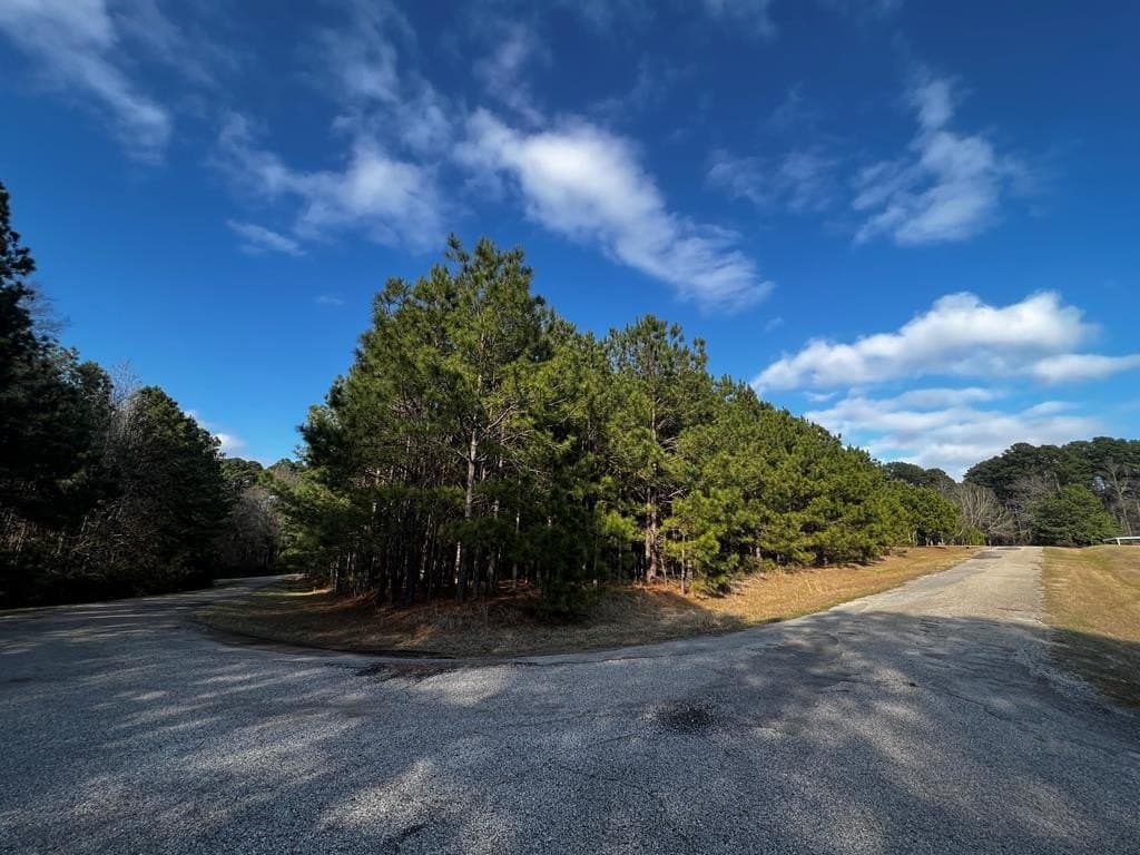 0.62 acres in Texas County - photo 3