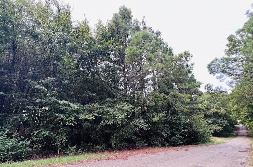 0.62 acres in Texas County - photo 6