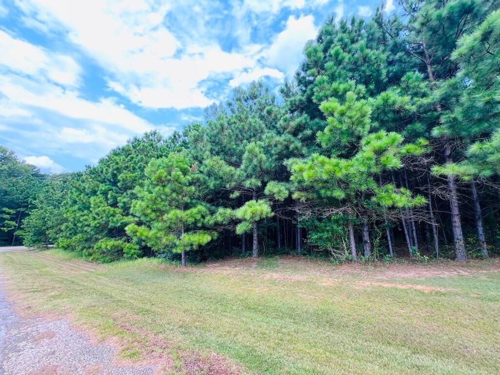 0.62 acres in Texas County - photo 2