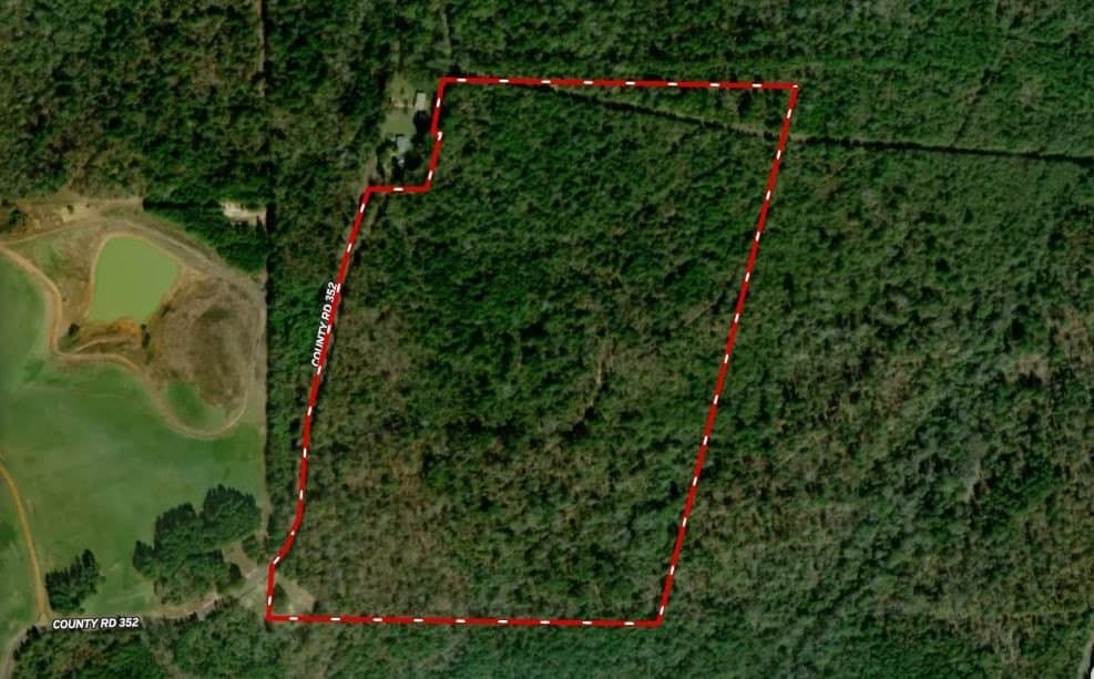 66 acres in Smith County gallery image 3