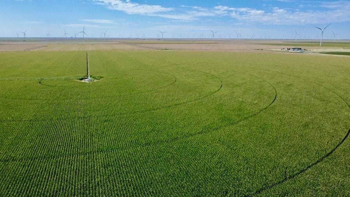 1,253 acres in Hansford County featured view