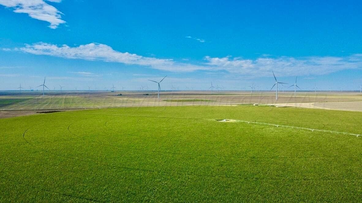 1,253 acres in Hansford County gallery image 2