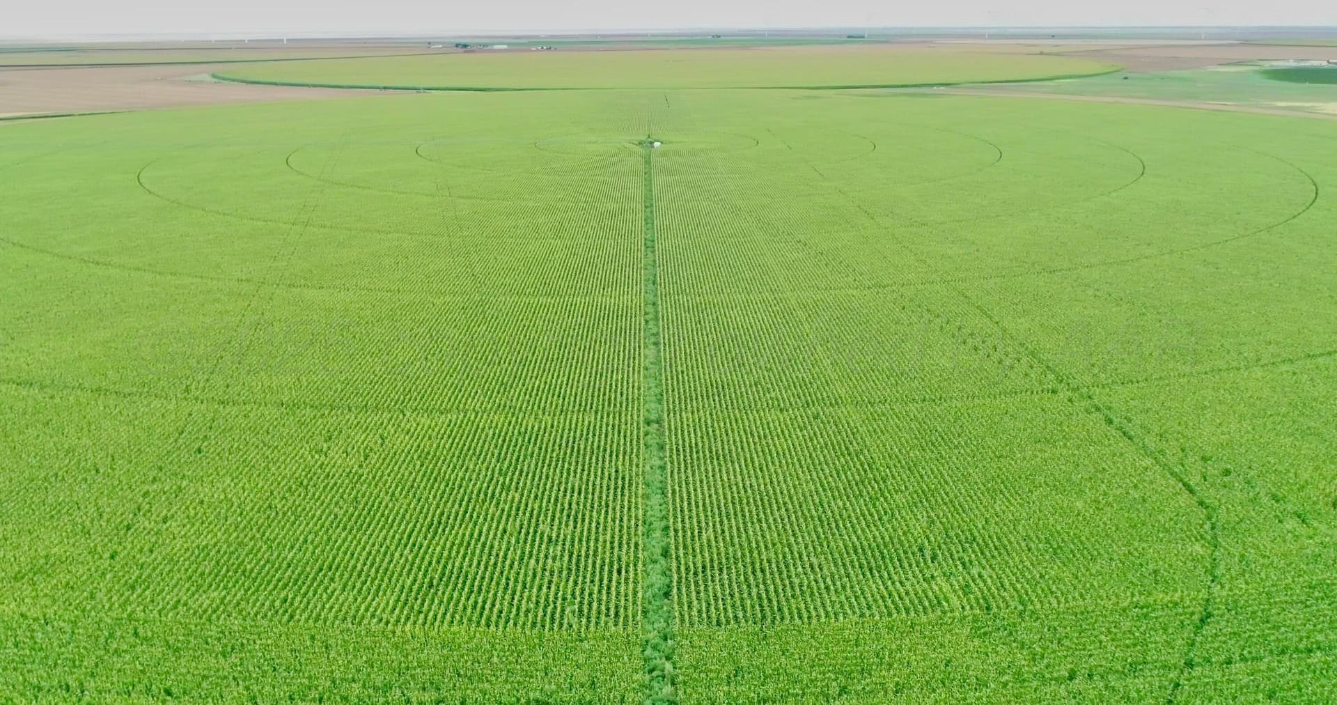 1,253 acres in Hansford County