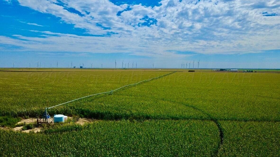 1,253 acres in Hansford County gallery image 4