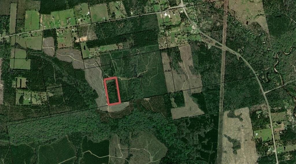 20 acres in Texas County gallery image 3