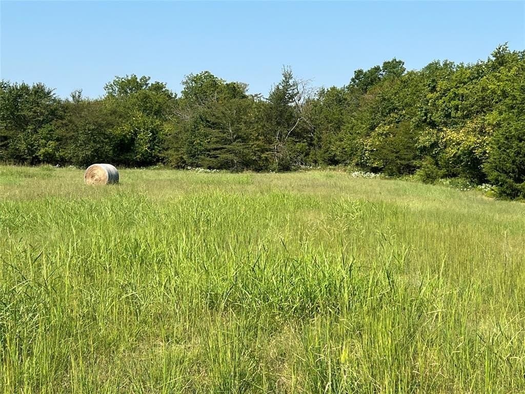 49.5 acres in Delta County gallery image 4