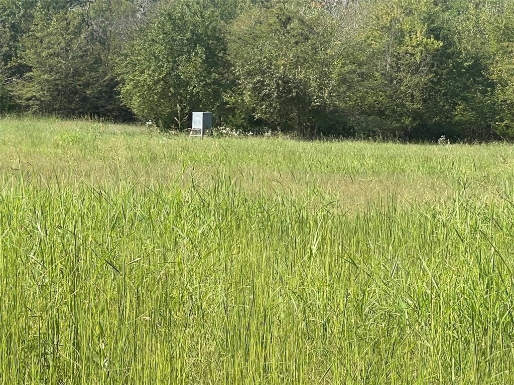 49.5 acres in Delta County featured view