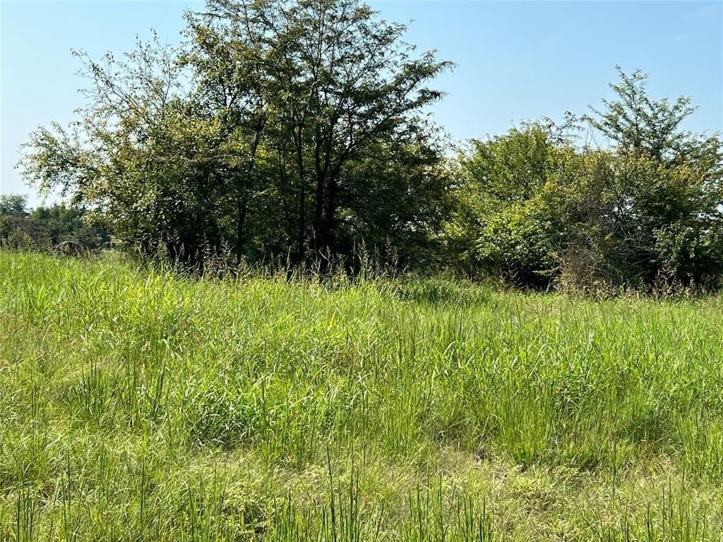 49.5 acres in Delta County gallery image 3
