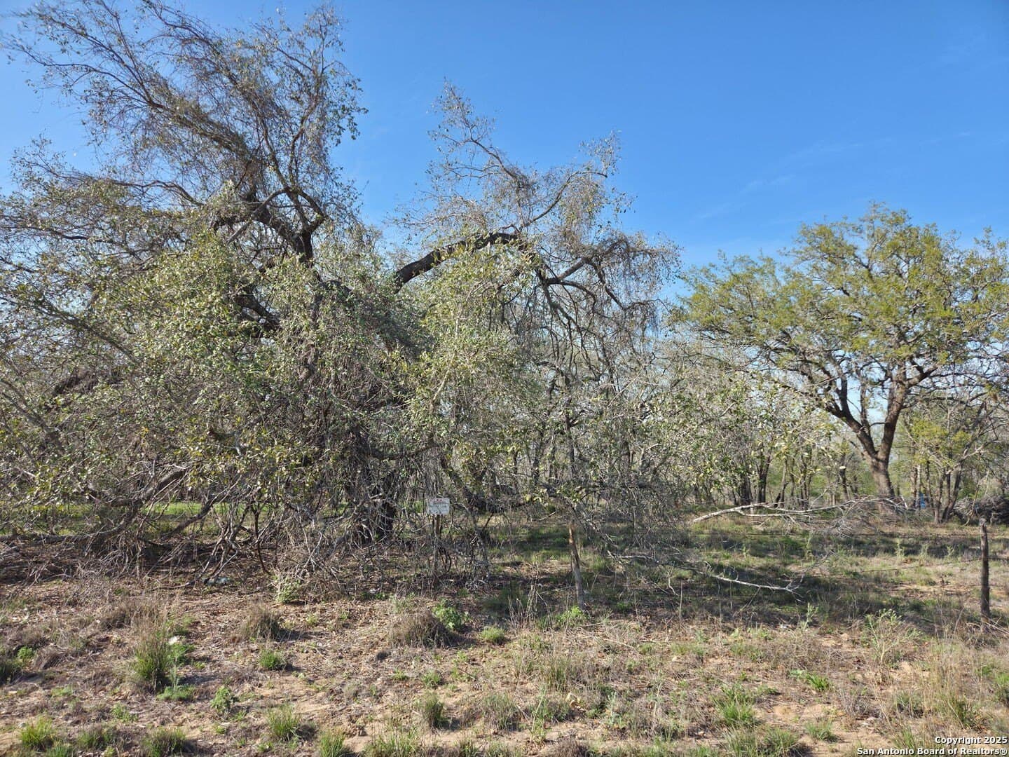 2.74 acres in Medina County gallery image 4