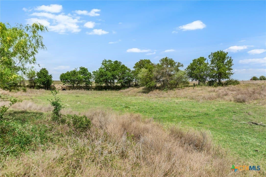 11 acres in Williamson County - photo 31