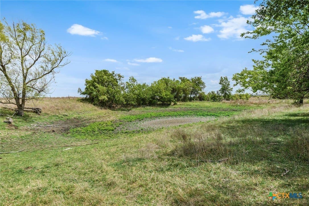 11 acres in Williamson County - photo 32