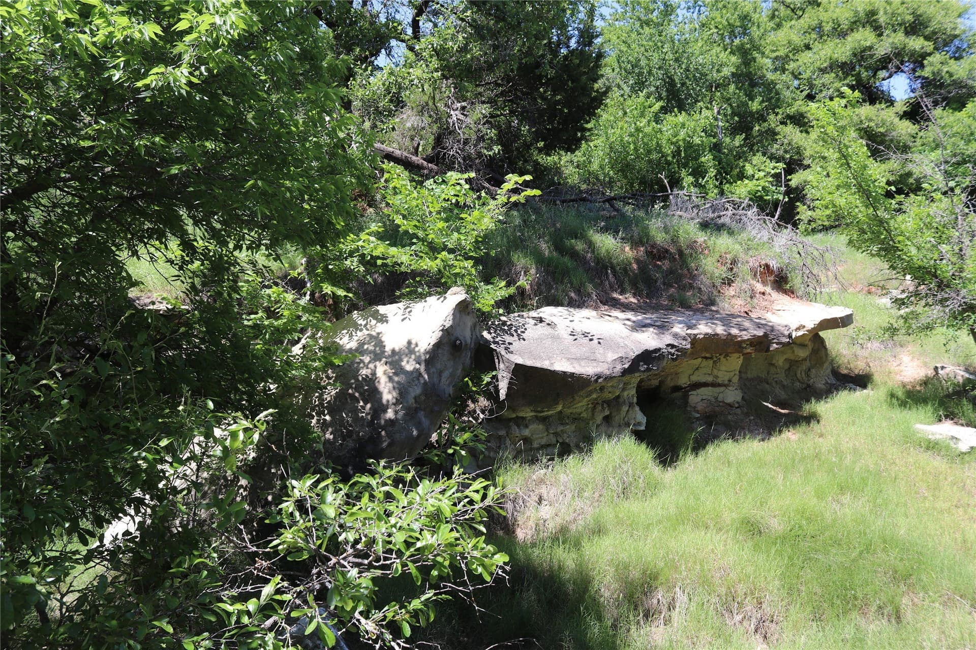 192 acres in Clay County gallery image 4