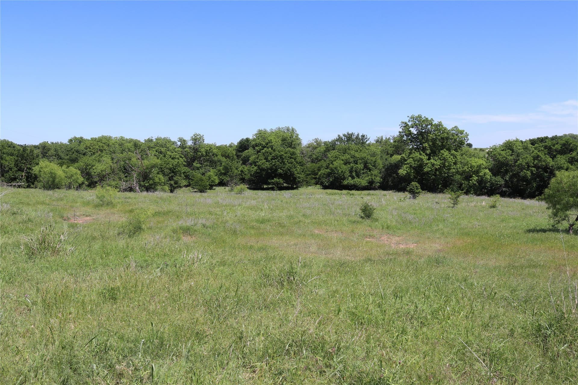192 acres in Clay County - photo 9