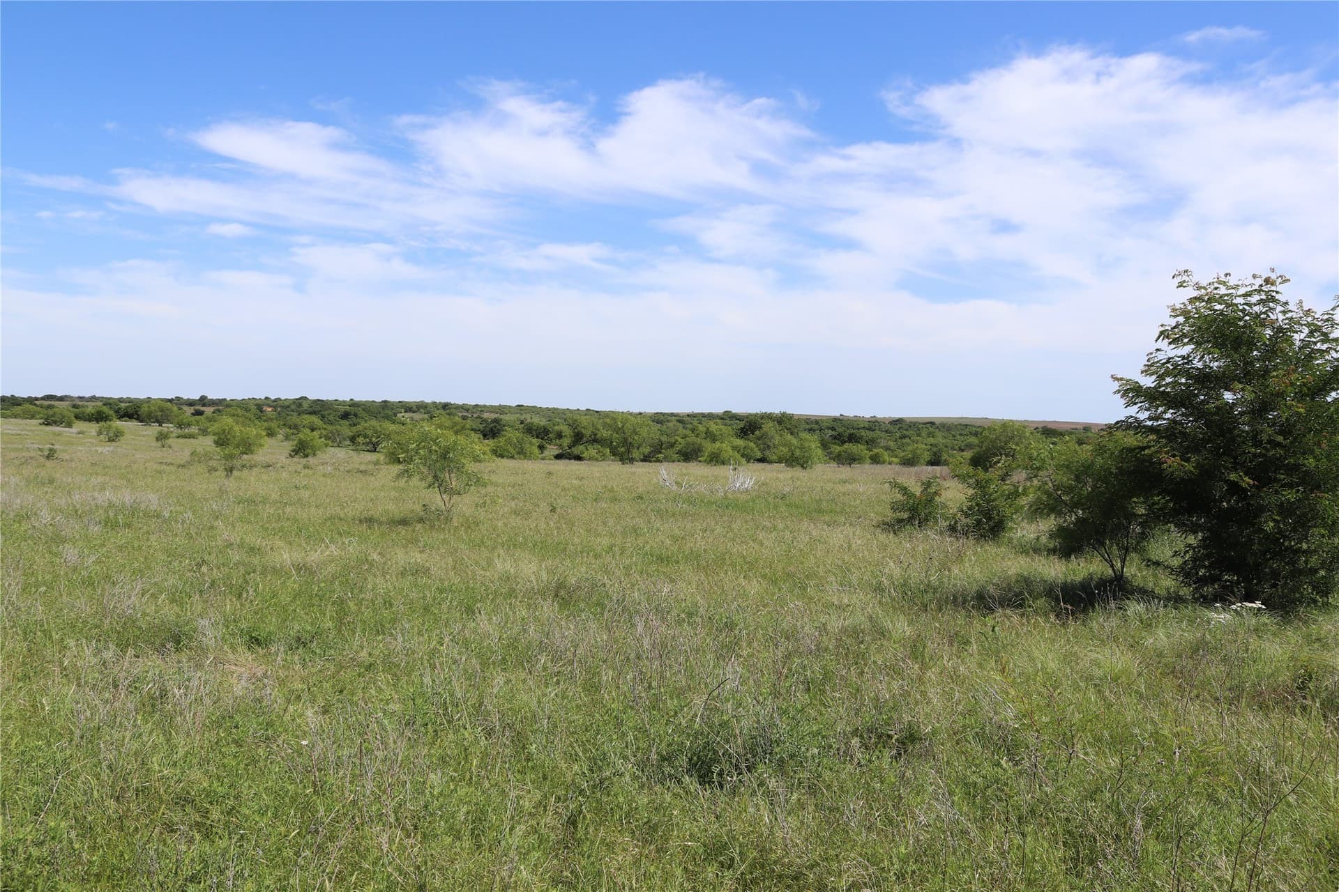 192 acres in Clay County - photo 20