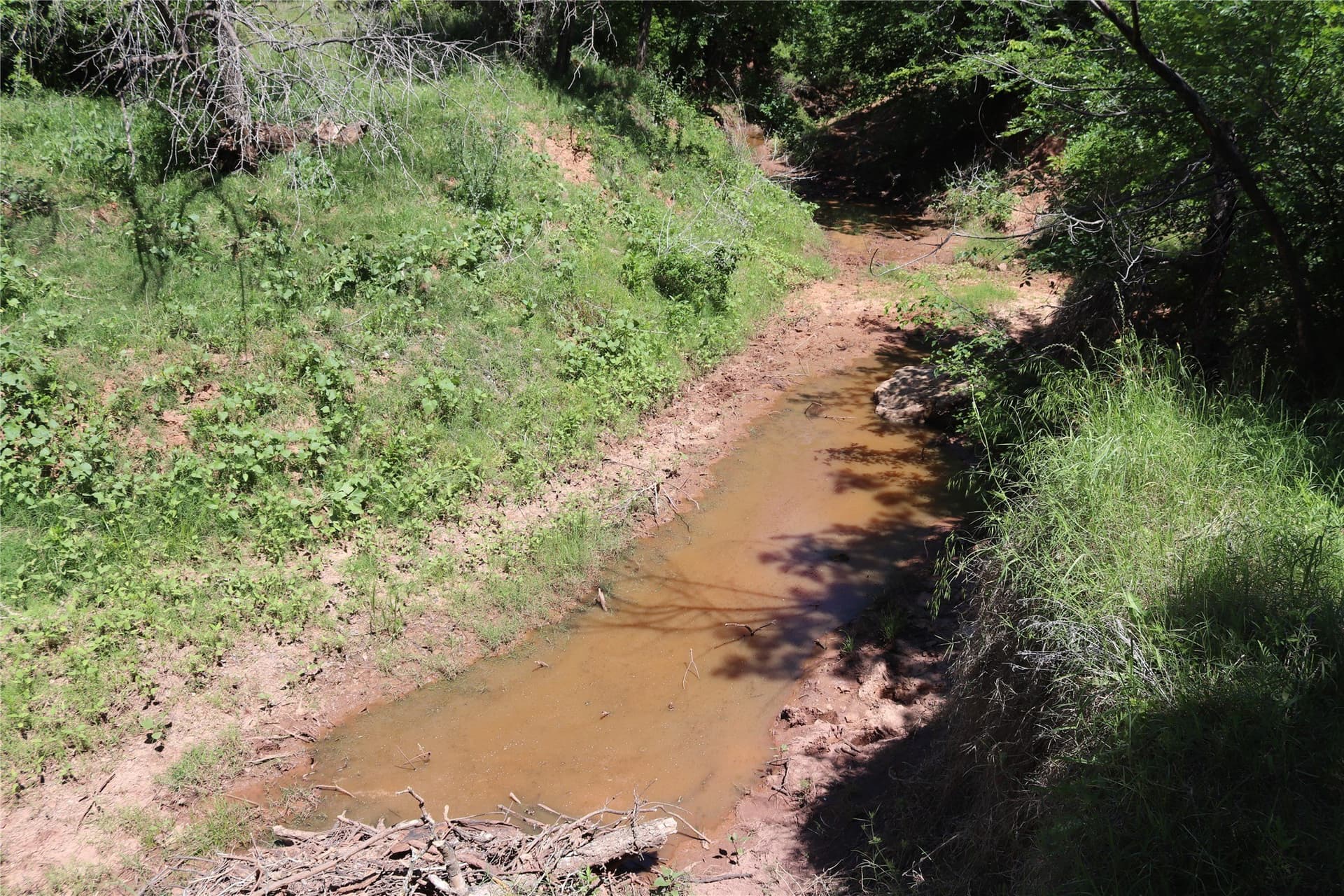 192 acres in Clay County gallery image 2