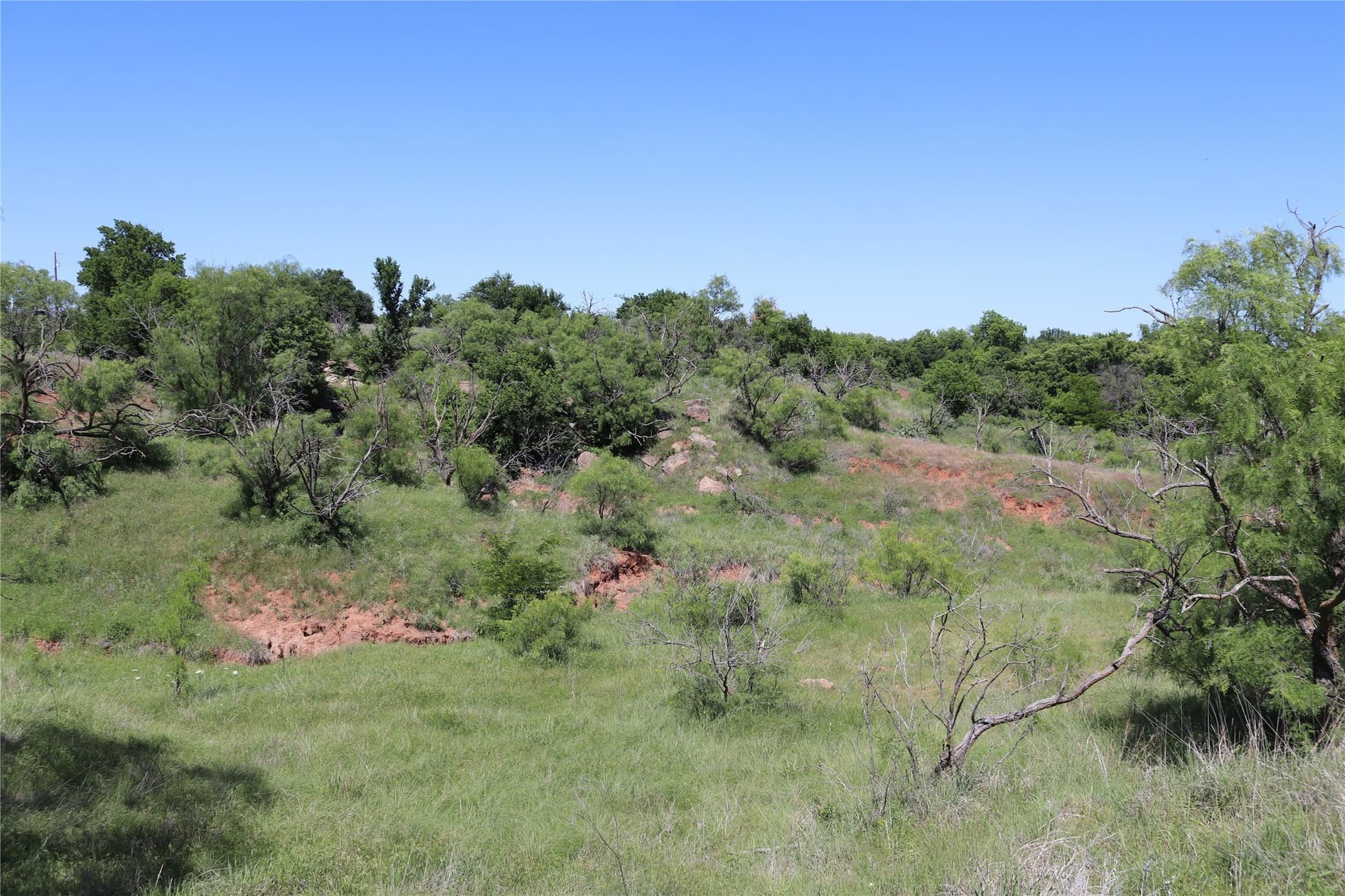192 acres in Clay County - photo 14