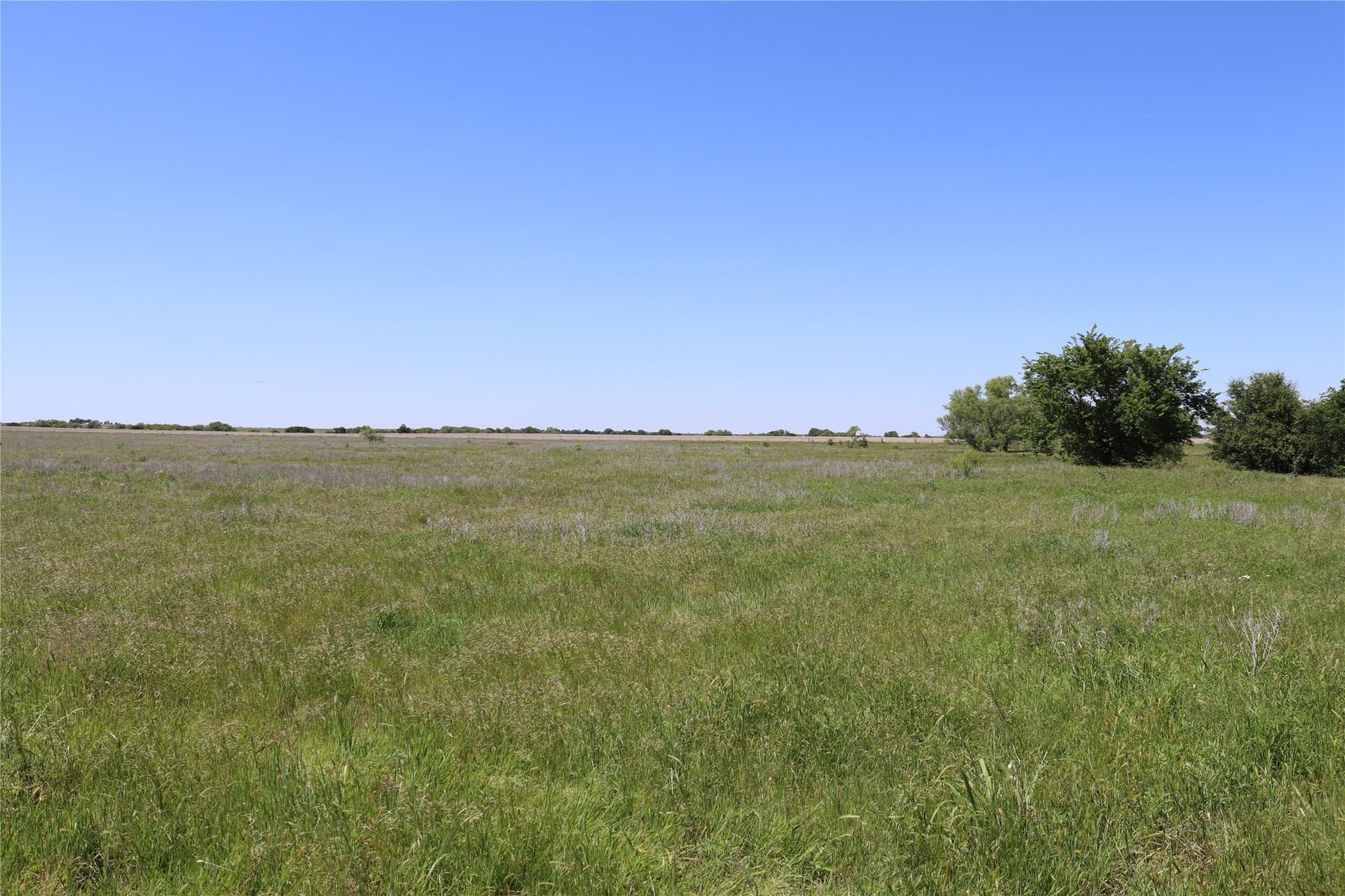 192 acres in Clay County - photo 12