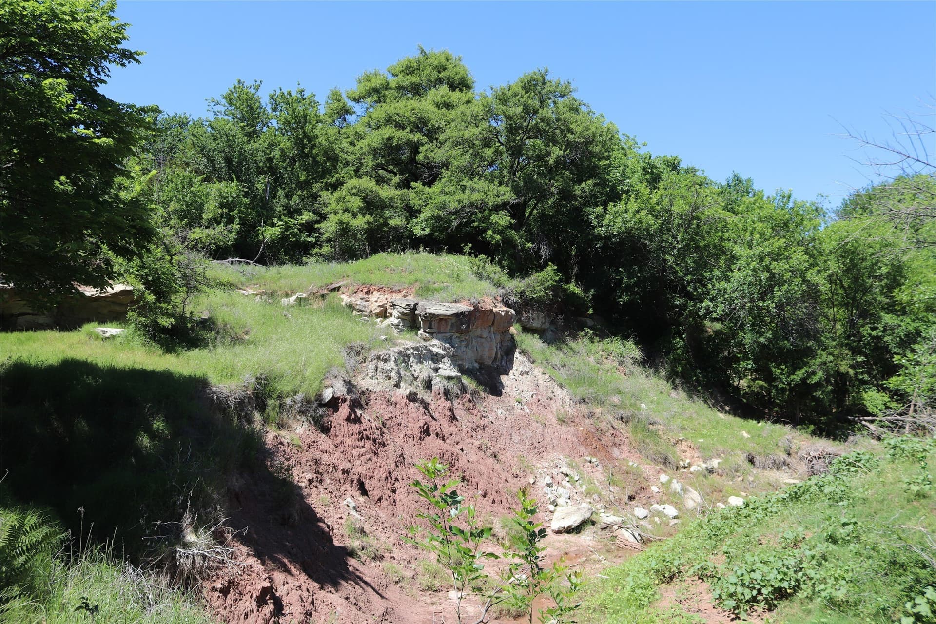 192 acres in Clay County
