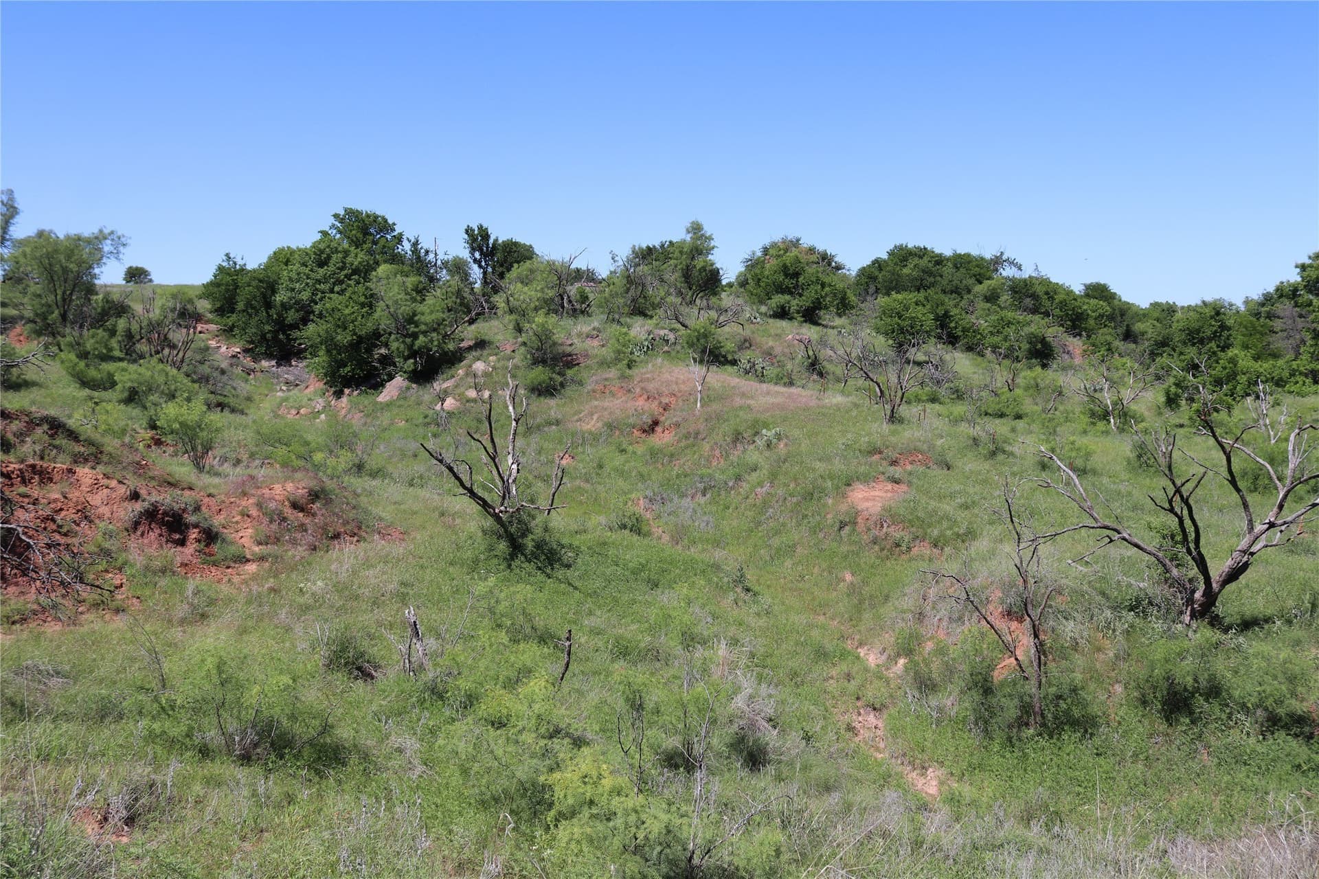 192 acres in Clay County - photo 15