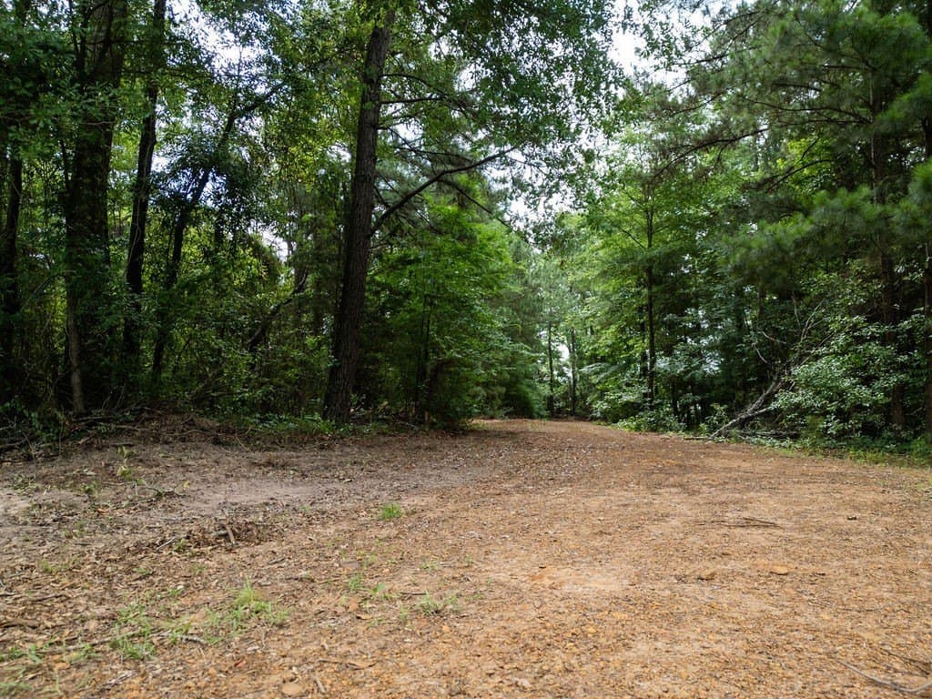 3 acres in Morris County - photo 32