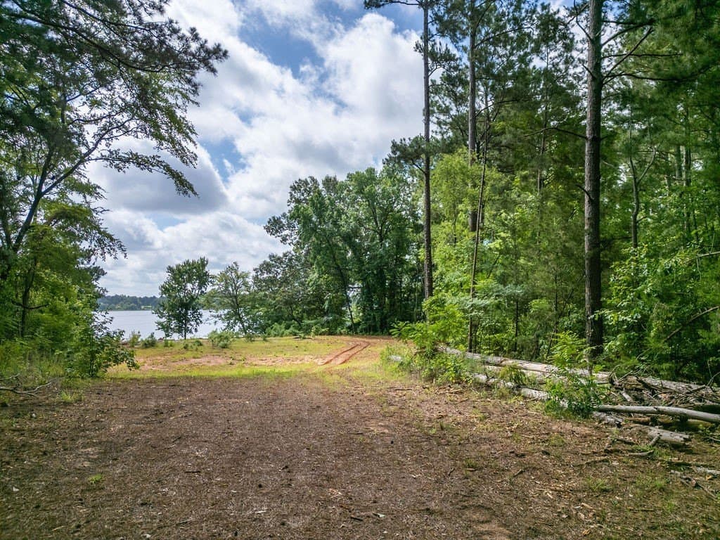 3 acres in Morris County - photo 7