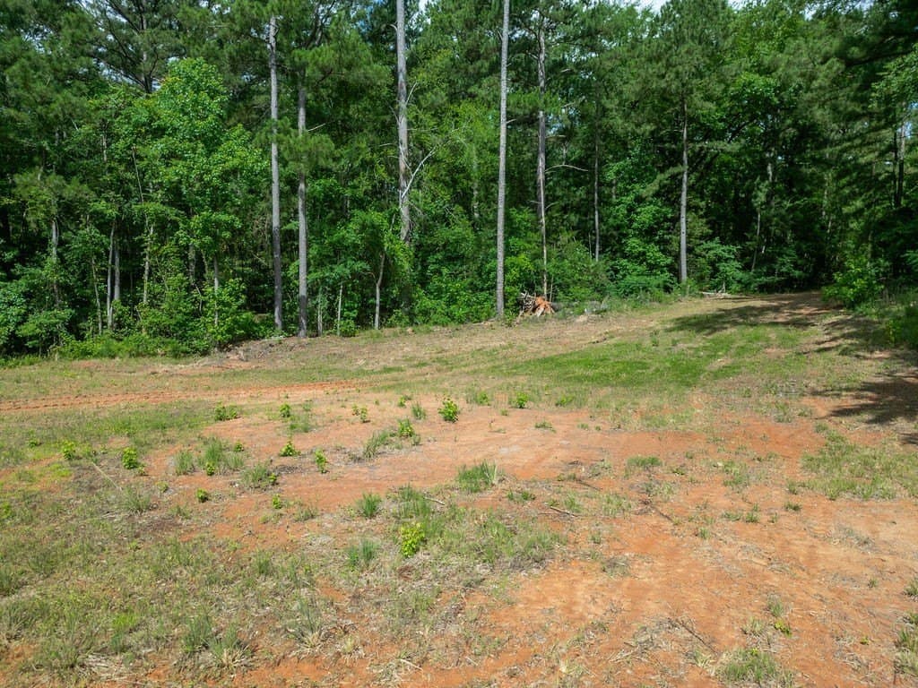 3 acres in Morris County - photo 24
