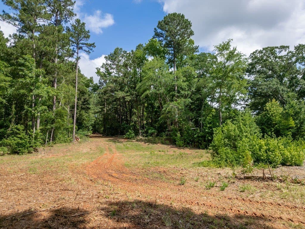 3 acres in Morris County - photo 31