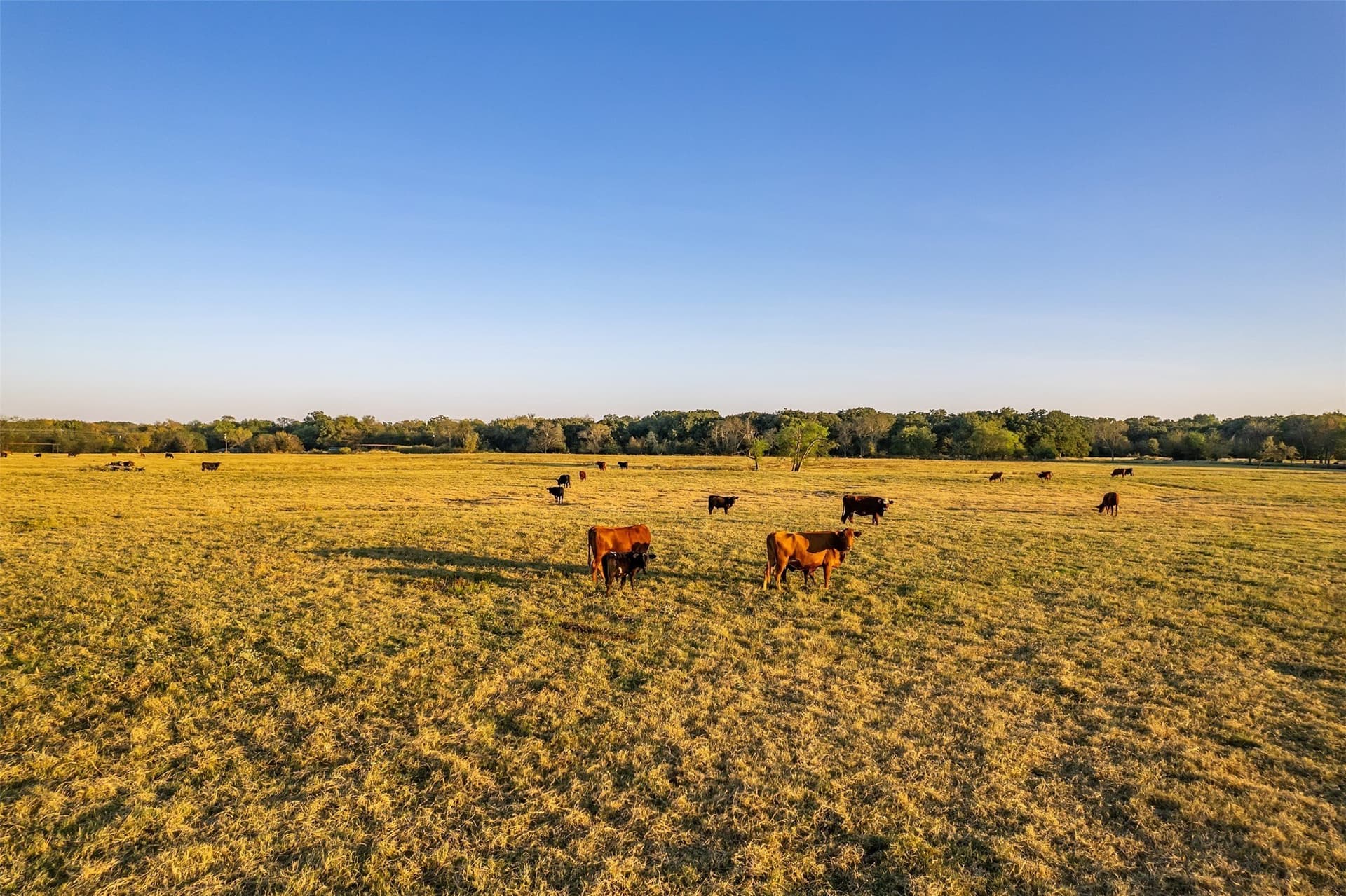 107.7 acres in Wood County - photo 17