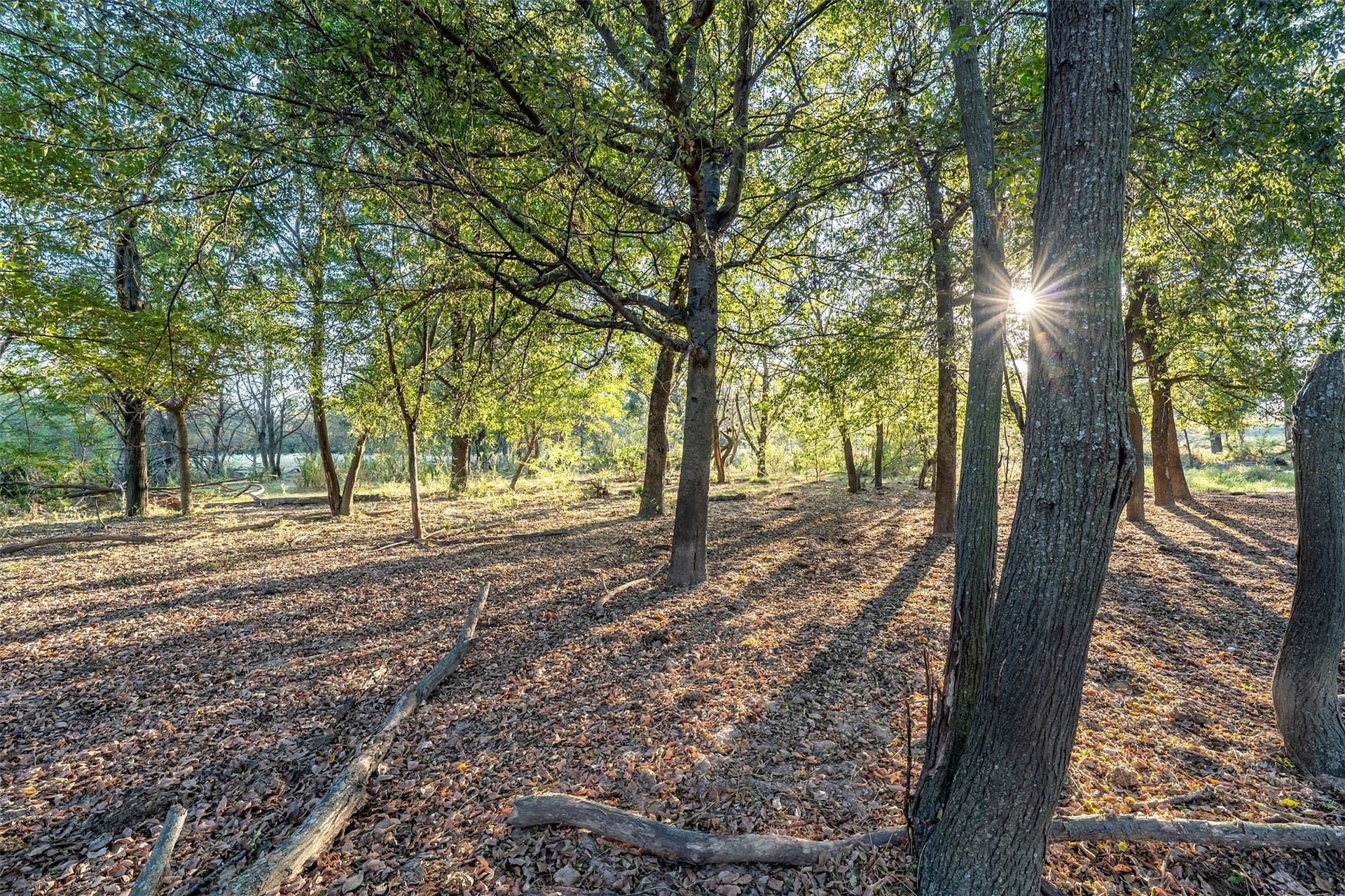 107.7 acres in Wood County - photo 24