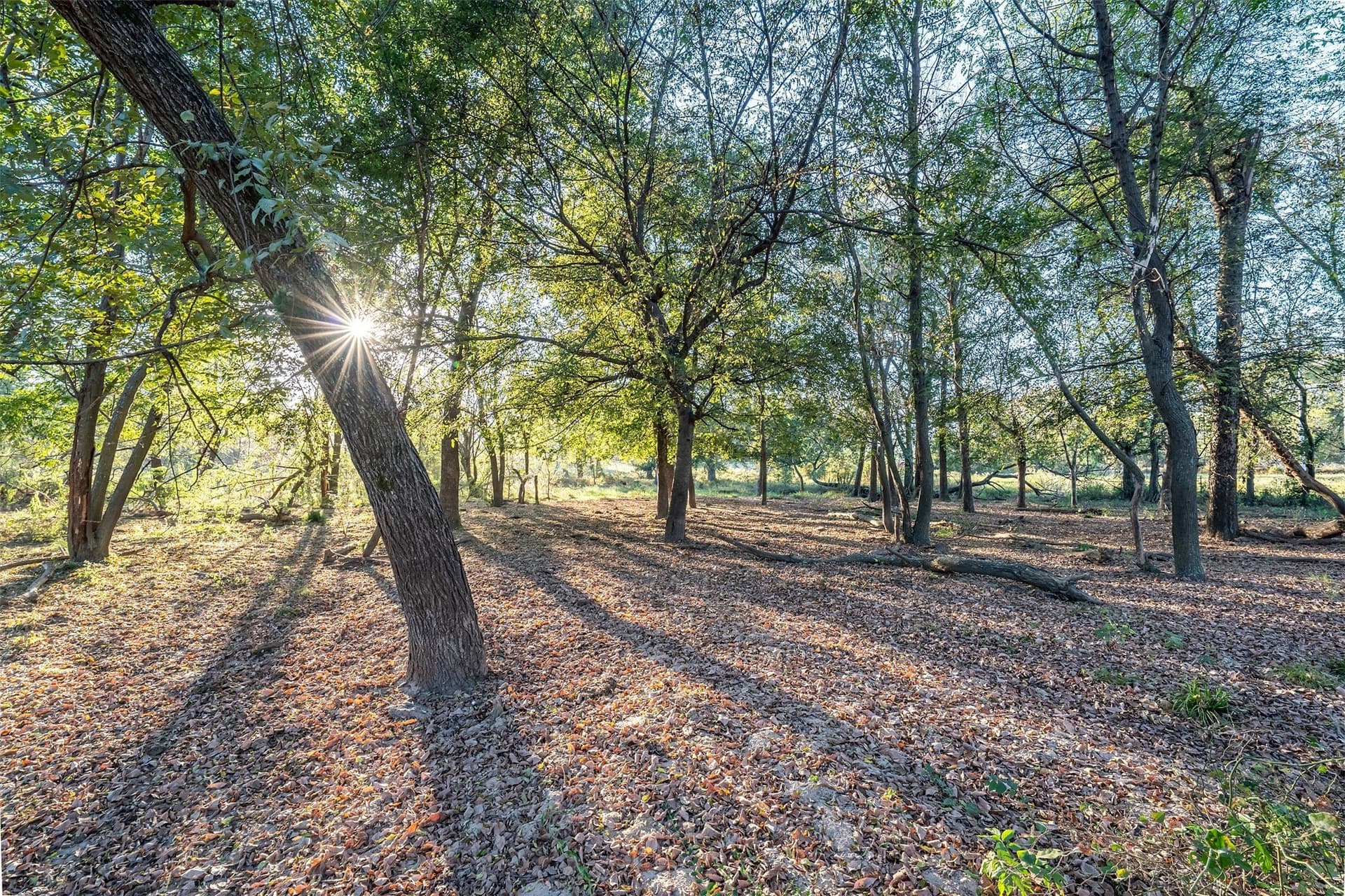 107.7 acres in Wood County - photo 25
