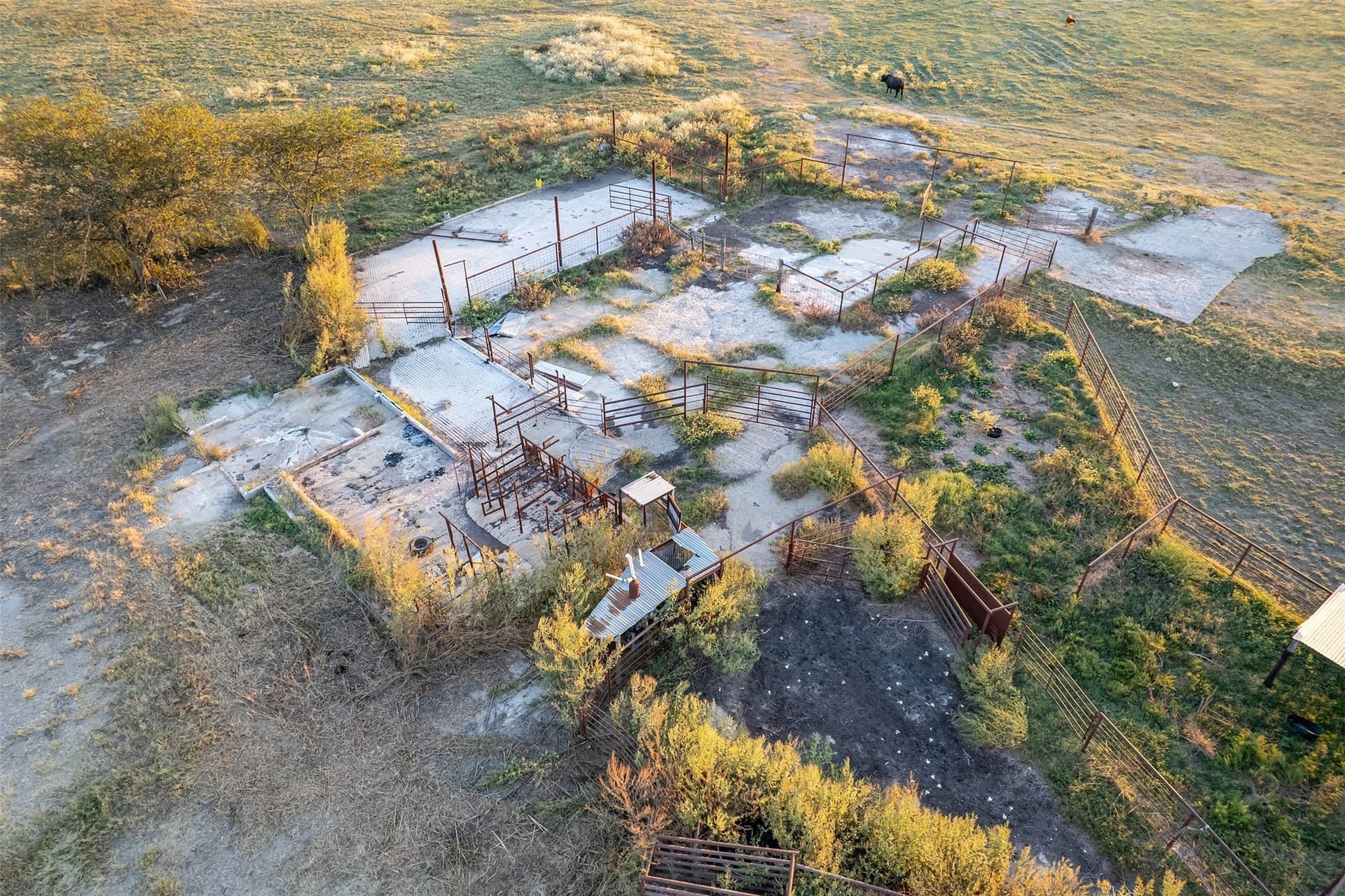 107.7 acres in Wood County - photo 38