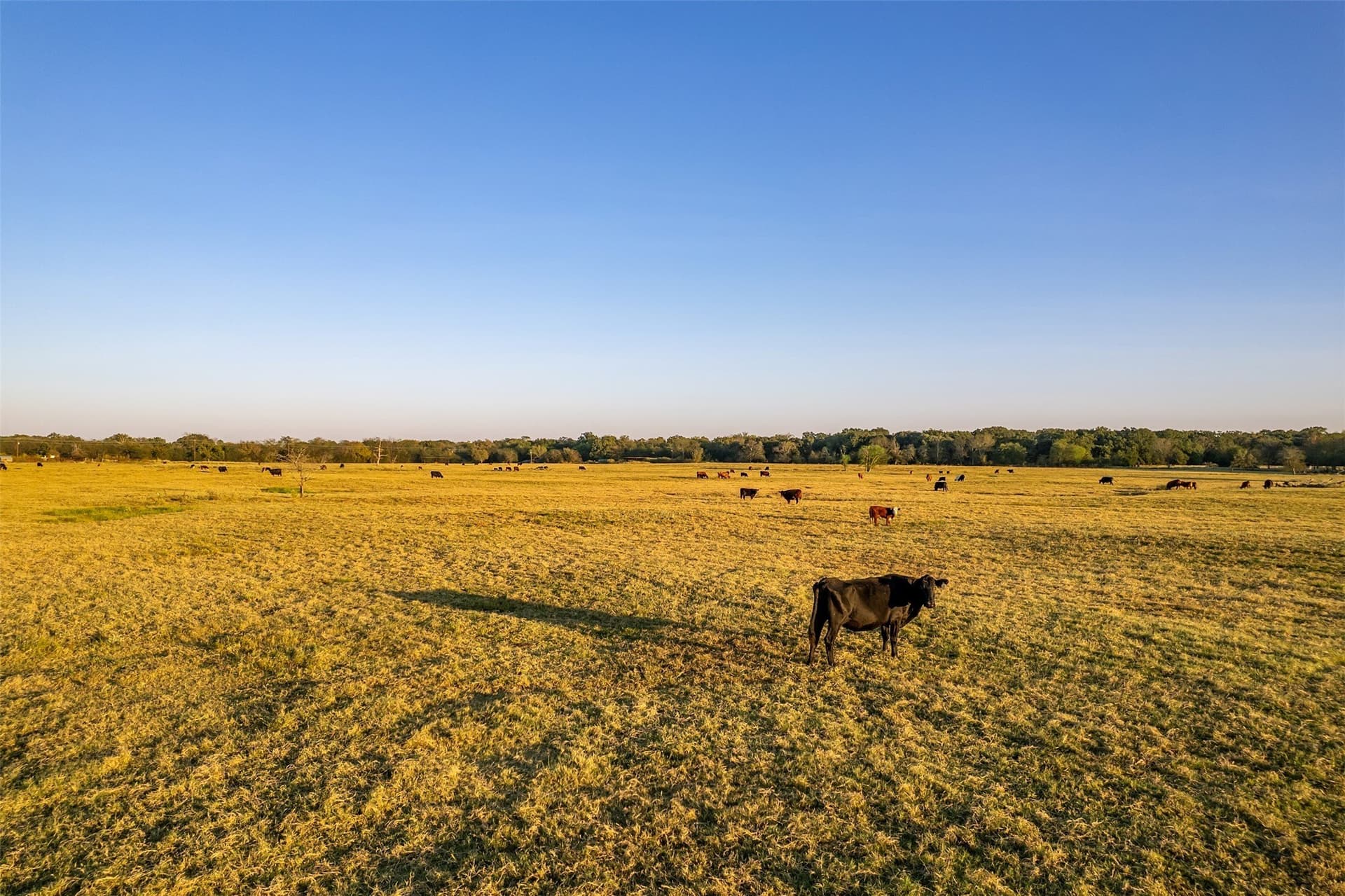 107.7 acres in Wood County - photo 11