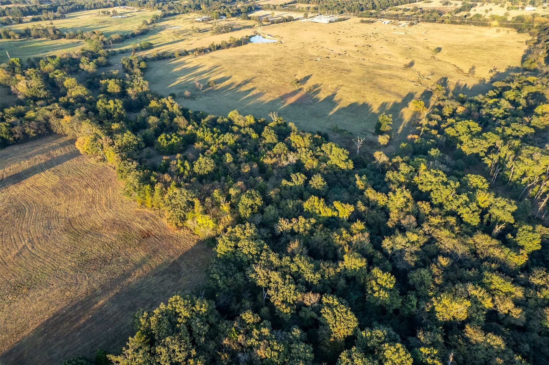 107.7 acres in Wood County - photo 34