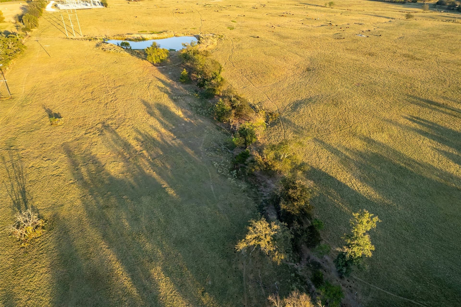 107.7 acres in Wood County - photo 31
