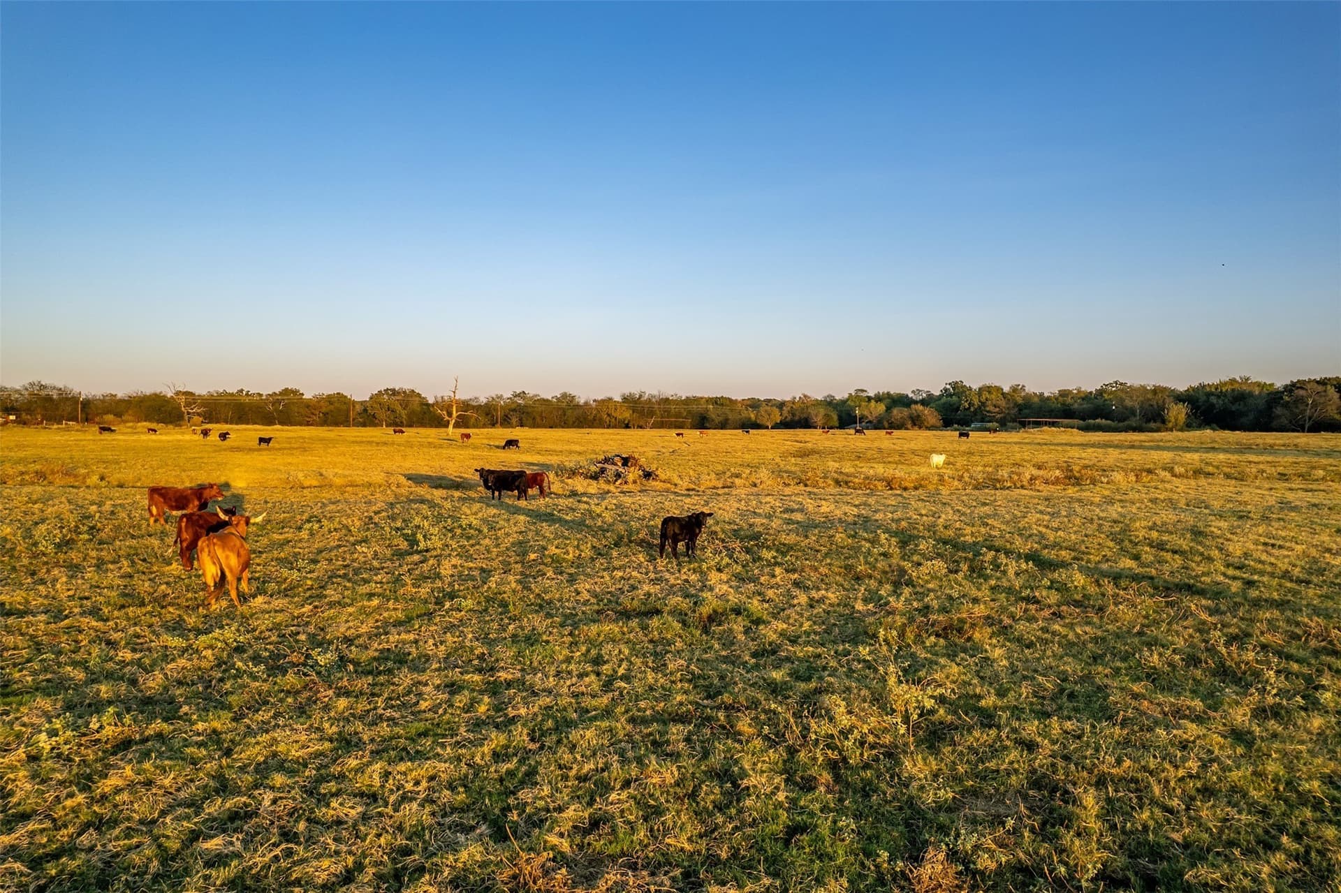 107.7 acres in Wood County - photo 7