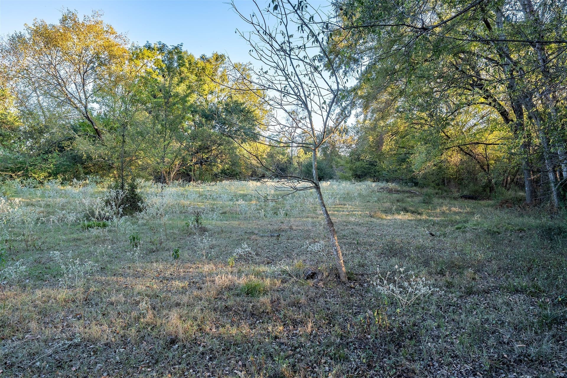 107.7 acres in Wood County - photo 28