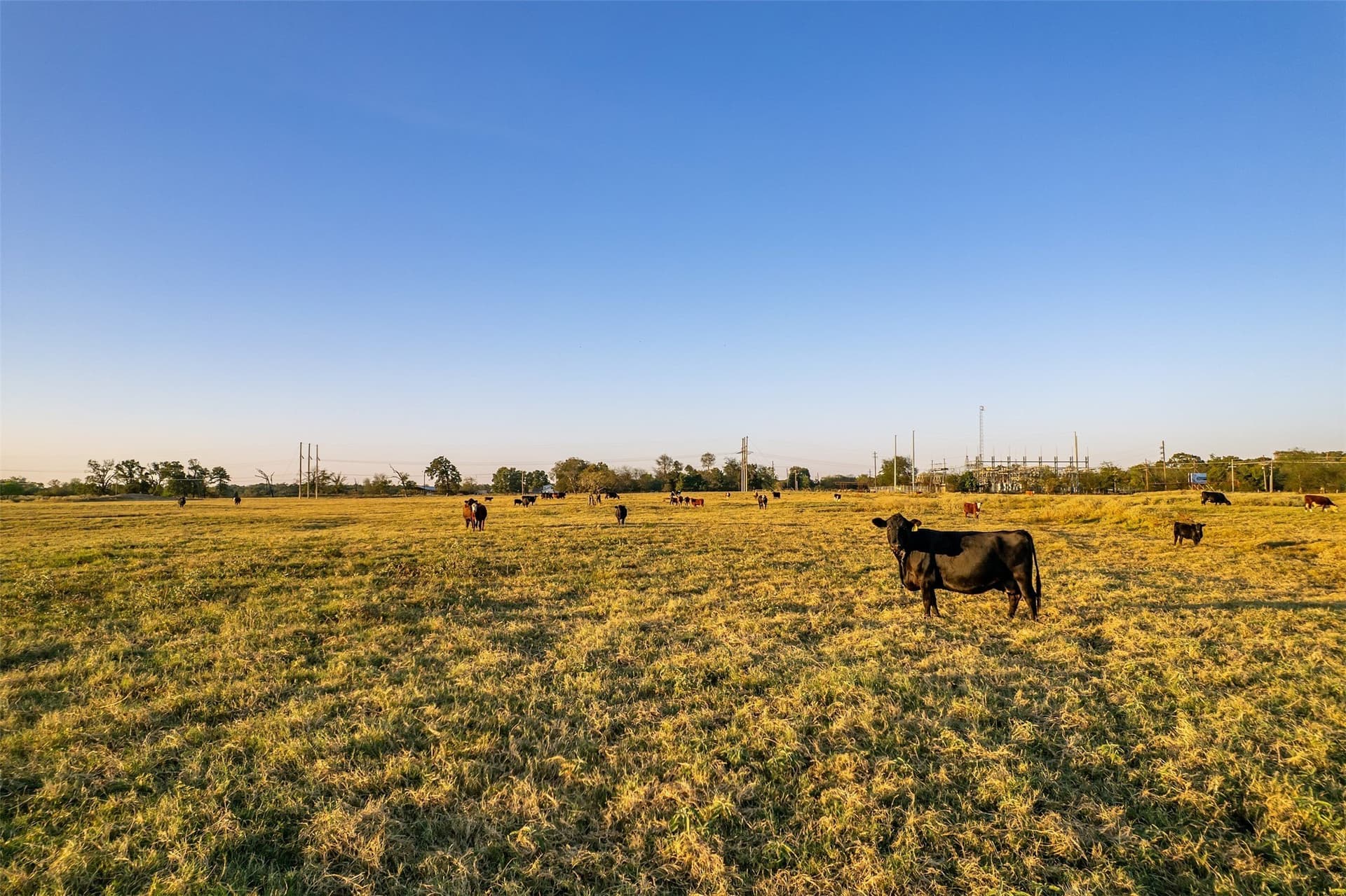 107.7 acres in Wood County - photo 15